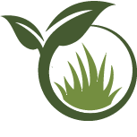 Rain Garden Installation Pros