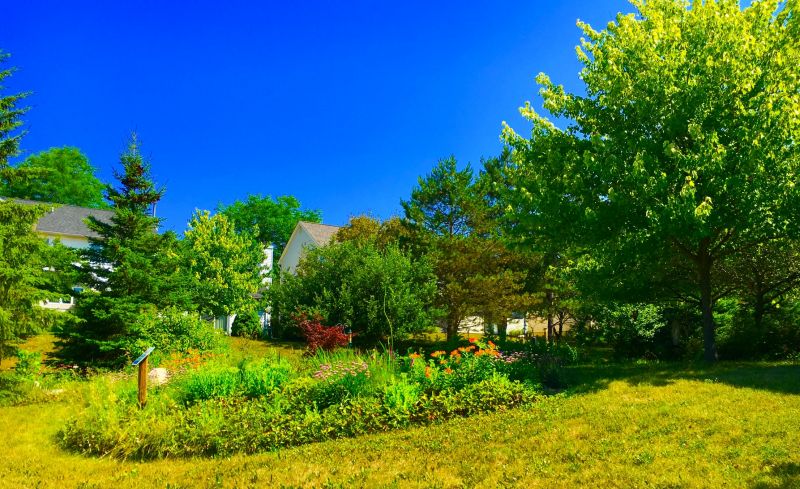 Rain Garden Installation Service