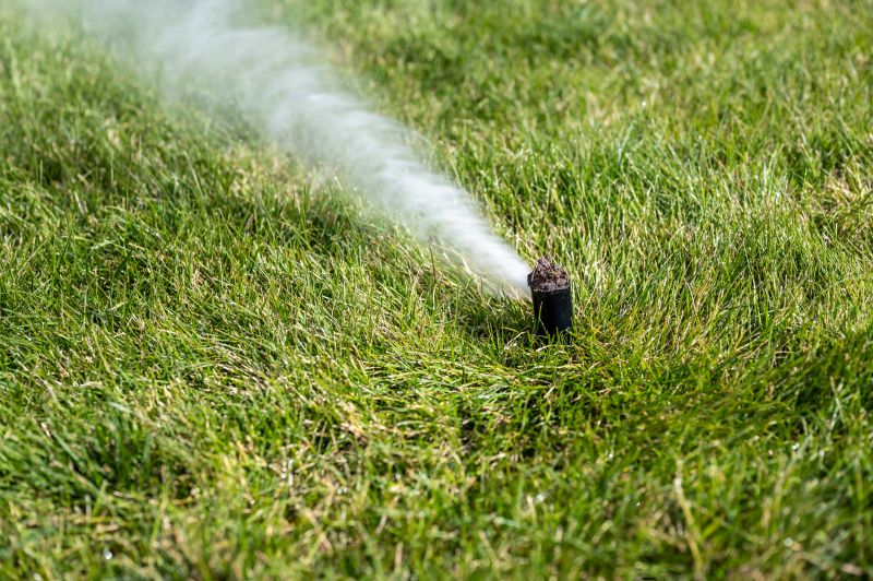 Winterizing Sprinklers